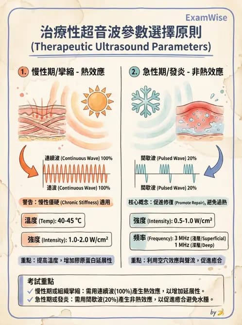 物治 - 超音波 - AI 圖文解析預覽