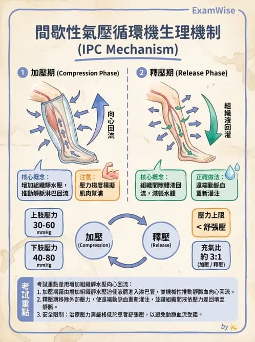 物治 - 力學因子 - AI 圖文解析預覽