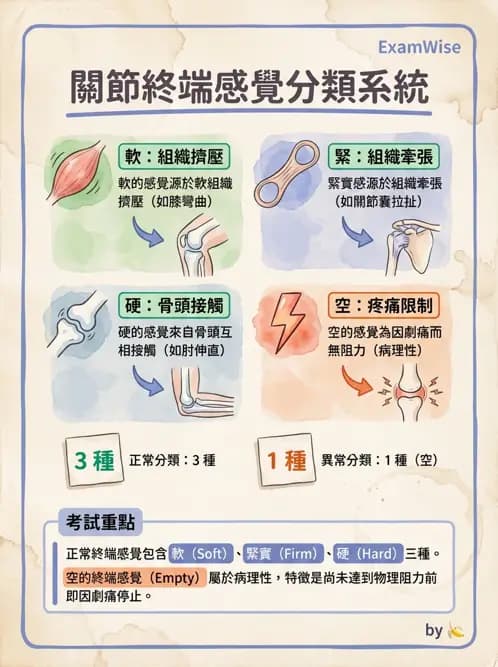 物治 - ROM通則與關節運動 - AI 圖文解析預覽