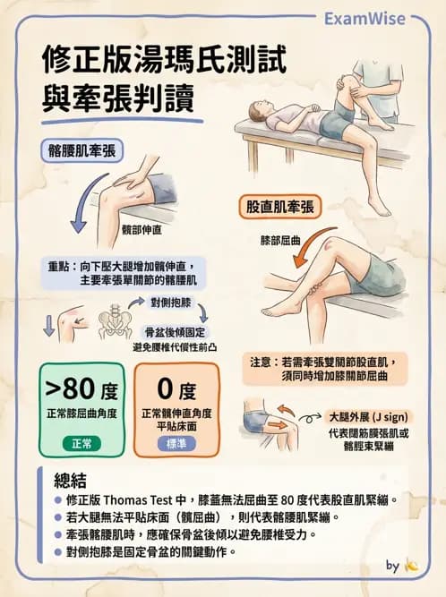 物治 - ROM通則與關節運動 - AI 圖文解析預覽