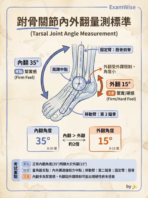 物治 - 下肢與脊椎關節活動度 - AI 圖文解析預覽