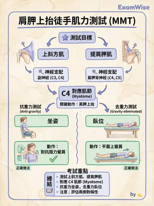 物治 - 上肢徒手肌力測試 - AI 圖文解析預覽