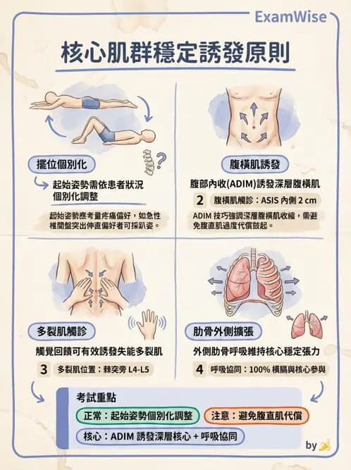 物治 - 核心穩定與功能性訓練 - AI 圖文解析預覽