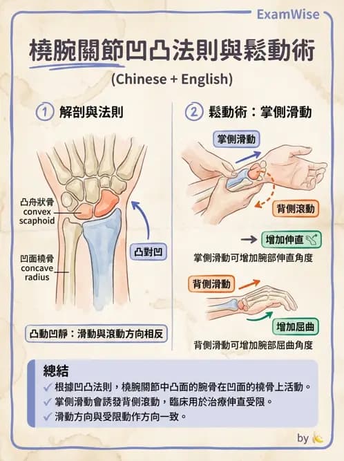 物治 - 鬆動術臨床應用 - AI 圖文解析預覽