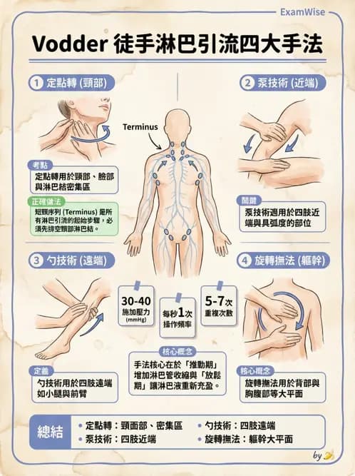 物治 - 淋巴水腫與徒手淋巴引流 - AI 圖文解析預覽