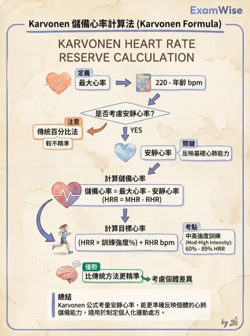 物治 - 肌耐力與神經肌肉適應 - AI 圖文解析預覽
