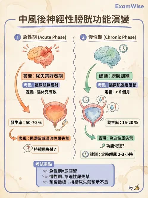 物治 - 功能評估與再教育 - AI 圖文解析預覽