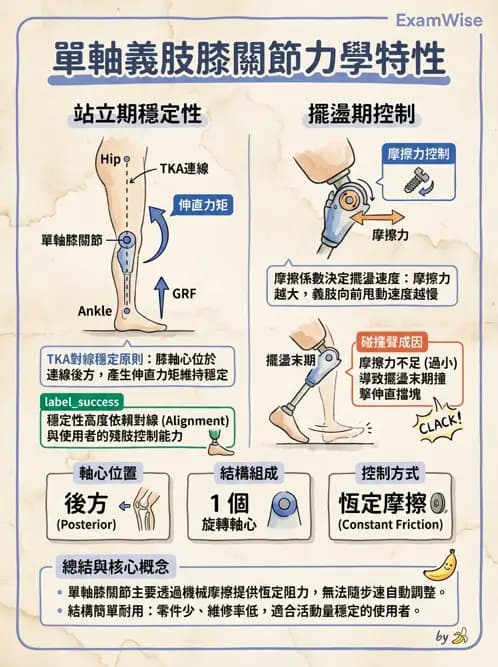 物治 - 義肢 - AI 圖文解析預覽
