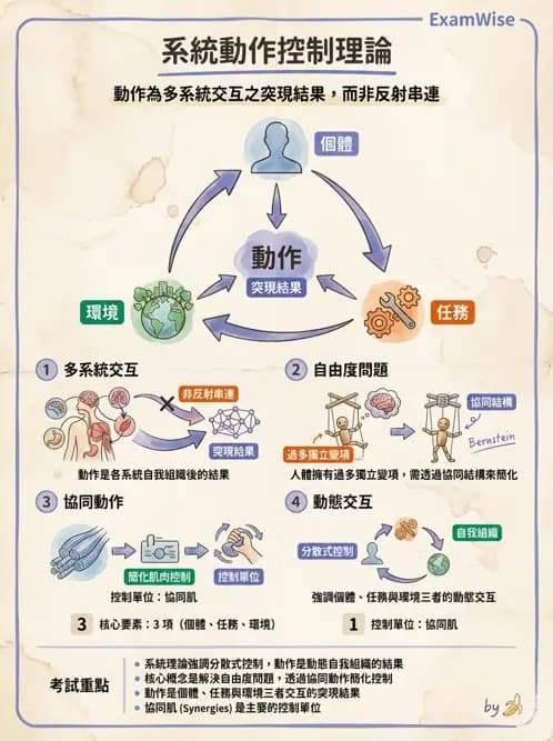 物治 - 動作控制理論 - AI 圖文解析預覽
