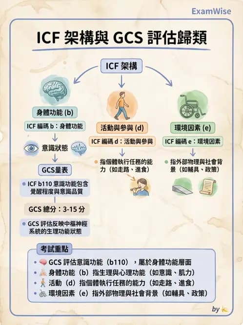物治 - ICF分類與應用 - AI 圖文解析預覽