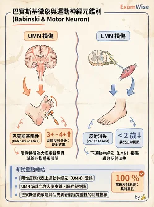 物治 - 神經物理治療評估工具 - AI 圖文解析預覽