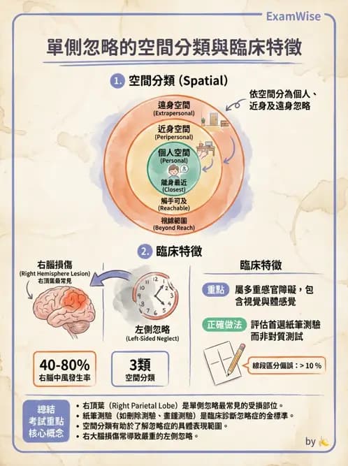 物治 - 腦中風感覺知覺與認知 - AI 圖文解析預覽