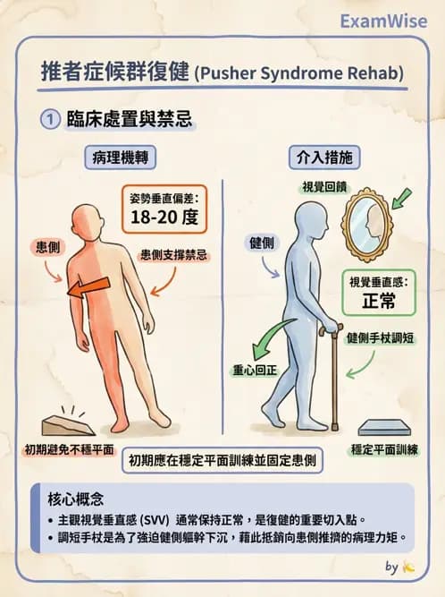 物治 - 腦中風姿勢控制平衡與轉位 - AI 圖文解析預覽