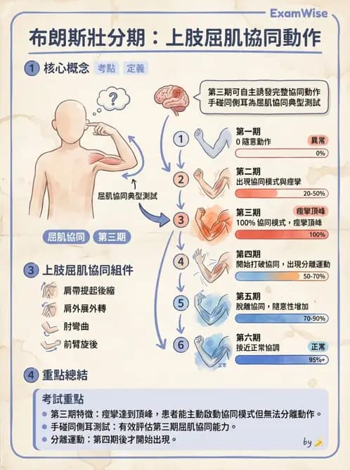物治 - 腦中風動作評估與分期 - AI 圖文解析預覽