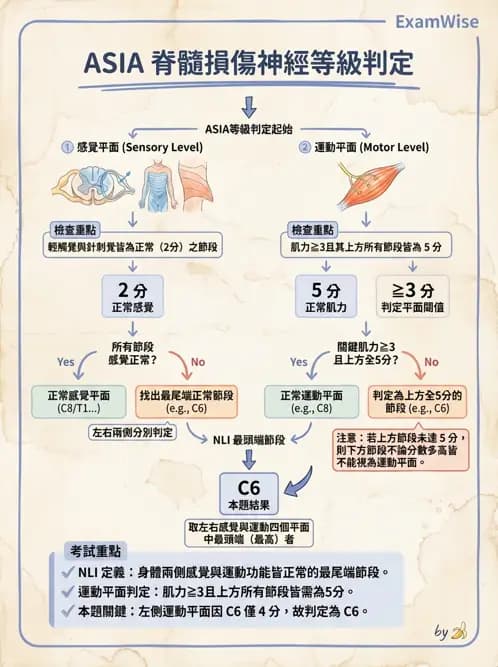 物治 - SCI評估分類與症候群 - AI 圖文解析預覽