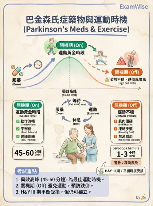 物治 - 巴金森氏病物理治療 - AI 圖文解析預覽