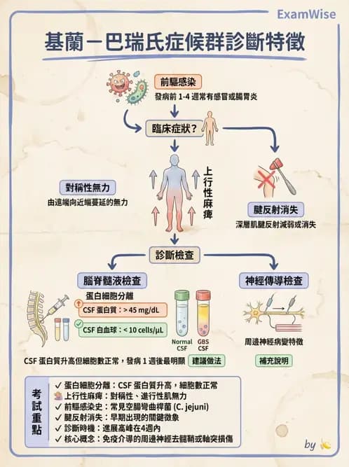 物治 - 神經肌肉疾病 - AI 圖文解析預覽