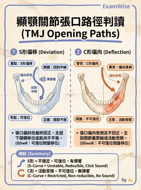 物治 - 顳頷關節 - AI 圖文解析預覽