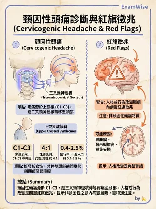 物治 - 頸椎評估與病理 - AI 圖文解析預覽