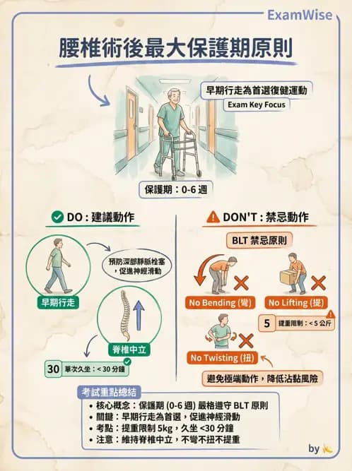 物治 - 腰椎椎間盤與脊椎狹窄 - AI 圖文解析預覽
