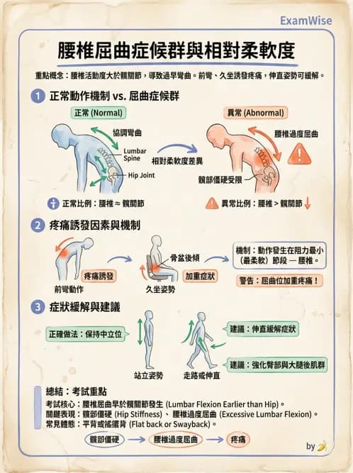 物治 - 腰椎穩定訓練與治療原則 - AI 圖文解析預覽