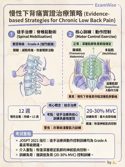 物治 - 腰椎穩定訓練與治療原則 - AI 圖文解析預覽