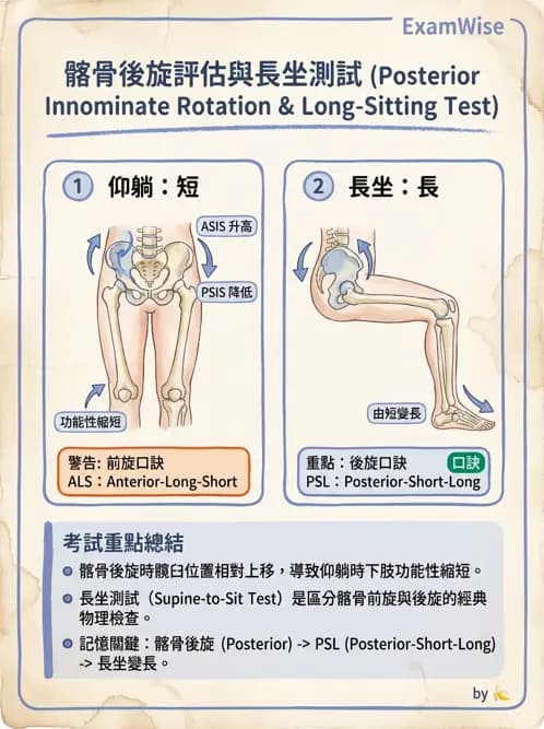 物治 - 薦髂關節評估與治療 - AI 圖文解析預覽