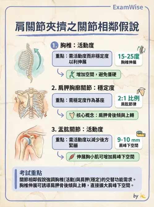 物治 - 肩關節夾擠與旋轉肌袖 - AI 圖文解析預覽