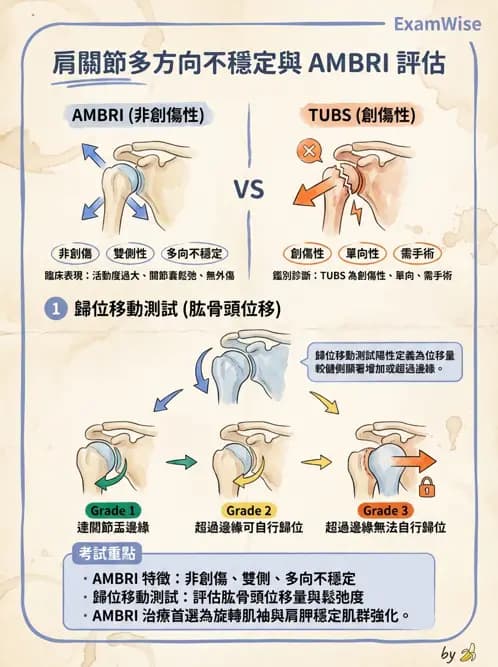 物治 - 肩關節不穩定與盂唇損傷 - AI 圖文解析預覽