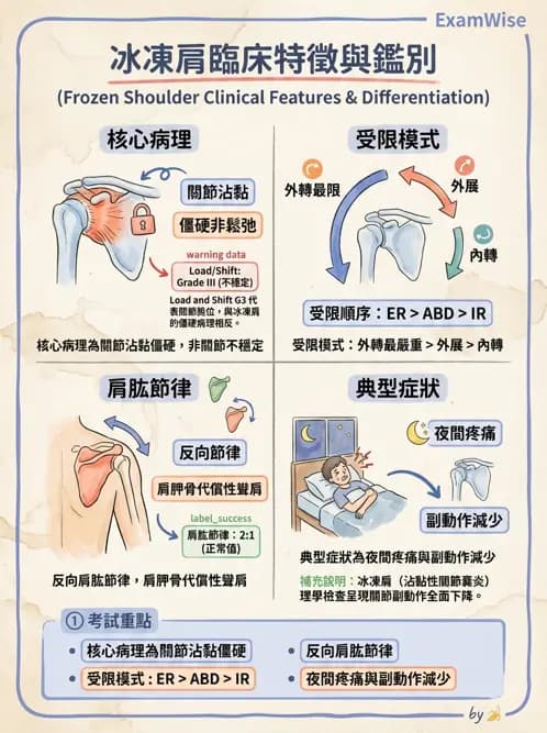物治 - 冰凍肩與胸廓出口症候群 - AI 圖文解析預覽