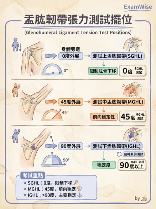 物治 - 肩關節不穩定與盂唇損傷 - AI 圖文解析預覽