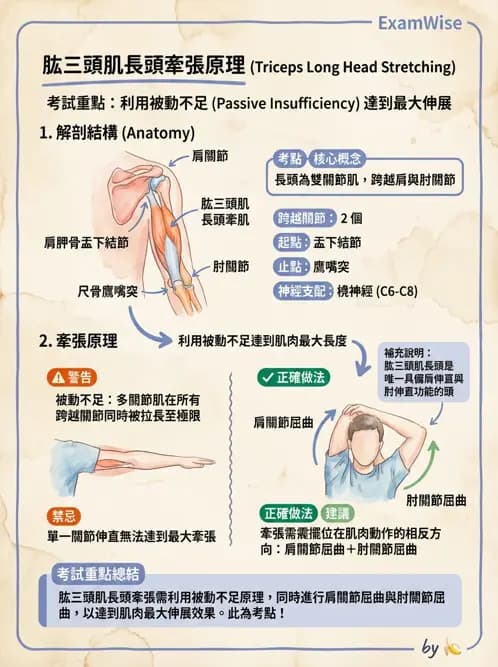 物治 - 肘及前臂關節 - AI 圖文解析預覽