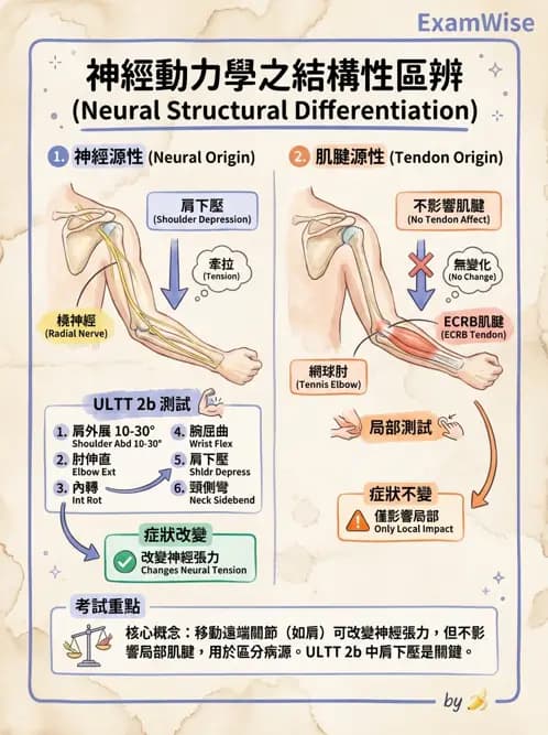 物治 - 肘及前臂關節 - AI 圖文解析預覽