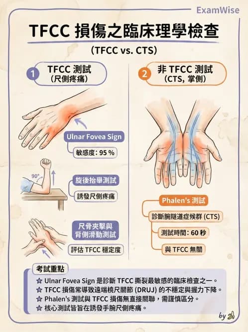 物治 - 腕關節疾病 - AI 圖文解析預覽