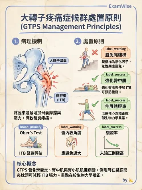 物治 - 髖關節病變與手術復健 - AI 圖文解析預覽