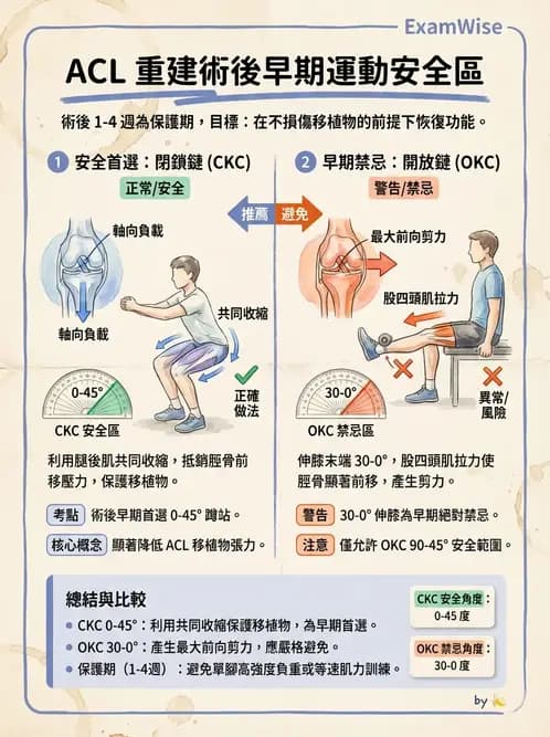 物治 - 膝關節韌帶與半月板損傷 - AI 圖文解析預覽