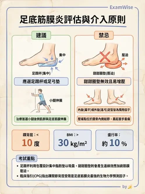 物治 - 足部病變與輔具評估 - AI 圖文解析預覽