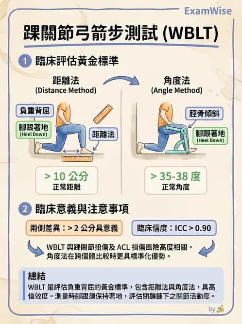 物治 - 踝關節損傷與復健 - AI 圖文解析預覽