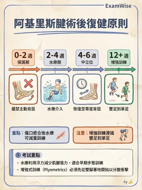 物治 - 踝關節損傷與復健 - AI 圖文解析預覽