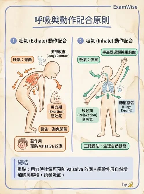 物治 - 氣道廓清與呼吸訓練技術 - AI 圖文解析預覽