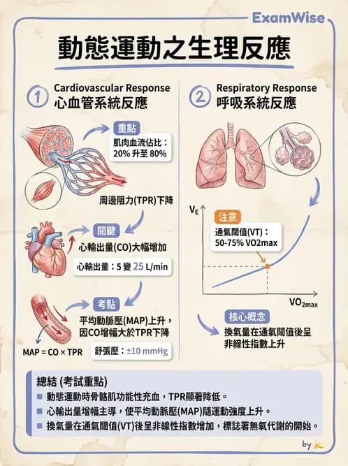 物治 - 運動生理學與能量代謝 - AI 圖文解析預覽