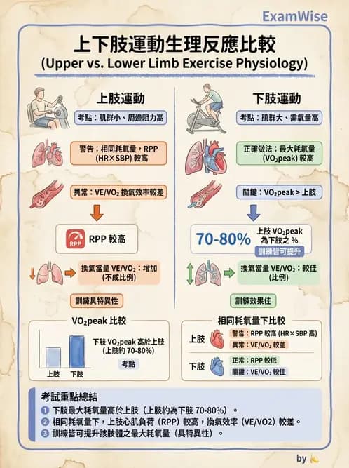 物治 - 運動生理學與能量代謝 - AI 圖文解析預覽