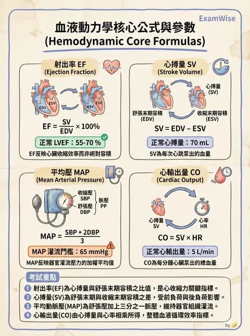 物治 - 循環解剖、生理與血流動力學 - AI 圖文解析預覽