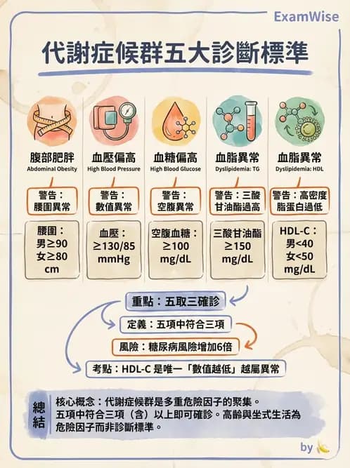 物治 - 特殊族群運動處方與健康促進 - AI 圖文解析預覽