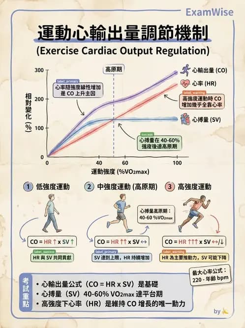 物治 - 運動與環境心肺生理 - AI 圖文解析預覽