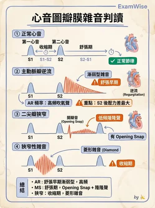 物治 - 心臟血管生理 - AI 圖文解析預覽