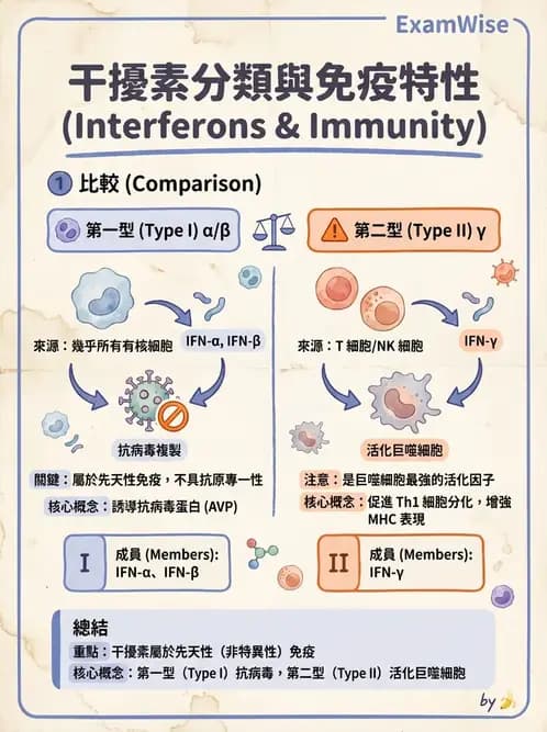 物治 - 免疫生殖與皮膚生理 - AI 圖文解析預覽