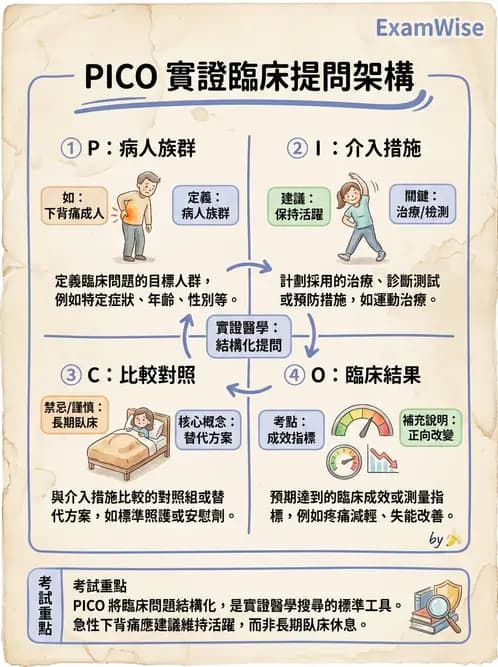 物治 - 實證臨床應用流程 - AI 圖文解析預覽