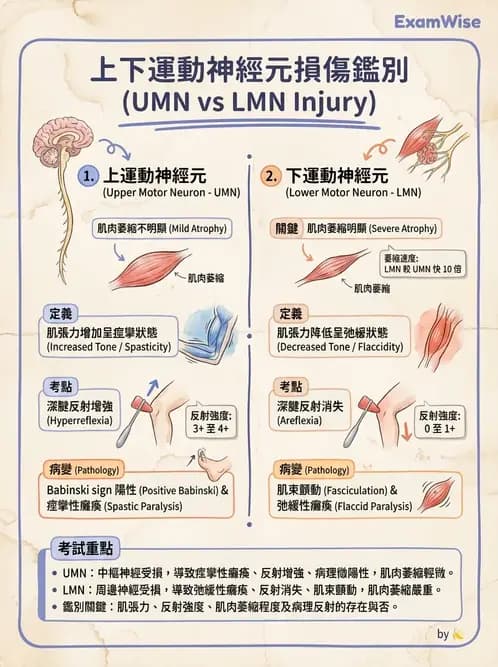 物治 - 神經退化性疾病 - AI 圖文解析預覽