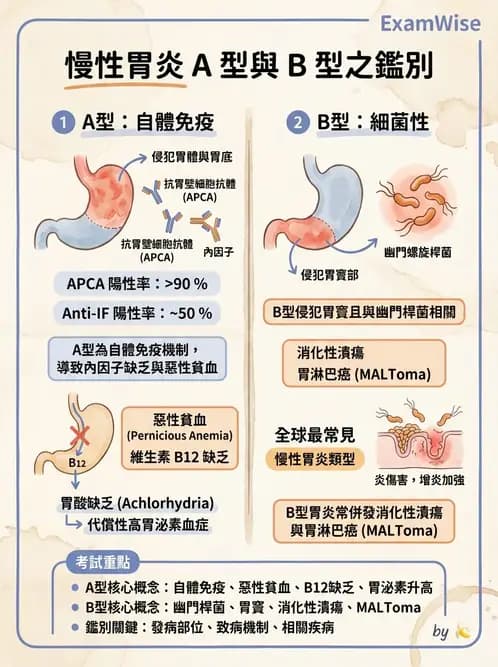 物治 - 內科疾病概論 - AI 圖文解析預覽